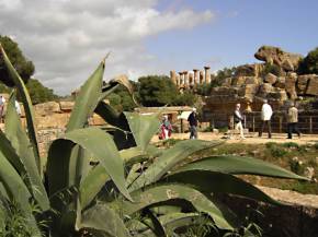 Sizilien: Tempel von Agrigent