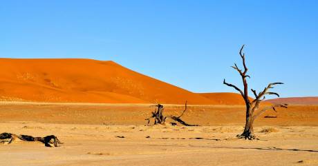Blog Reiselexikon: Namibia