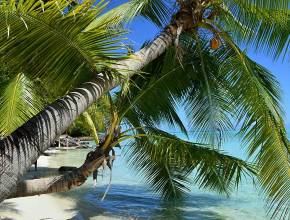Weltreise: am Strand von Bora Bora