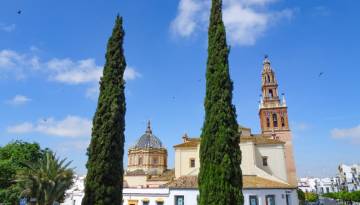Andalusien: Carmona