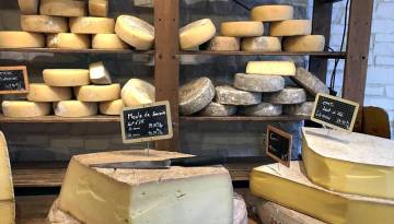 Käse aus der Provence