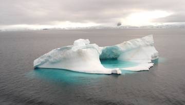 Höhepunkte der Antarktis