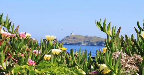 Blog: Korsika - ungezähmte Schönheit
