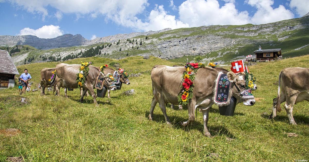 Traditionen in der Schweiz