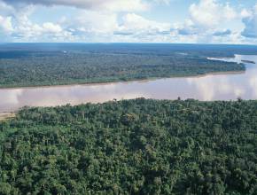 Flusskreuzfahrten auf dem Amazonas: der Amazonas bei Iquitos, Peru
