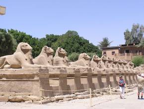 Flusskreuzfahrten auf dem Nil: Tempel von Luxor - Widderallee