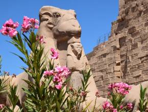 Ägypten - Faszination Tempel