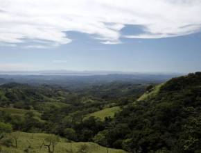 Rundreisen in Costa Rica: Dschungel in Costa Rica