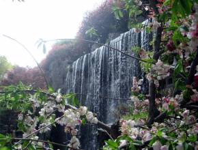 Rundreisen in Japan: Wasserfall