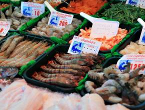 Kroatien: Seafood