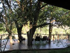 Rundreisen in Südafrika: Safari Lodge