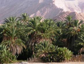 Rundreisen in Tunesien: Wüsten und Oasen