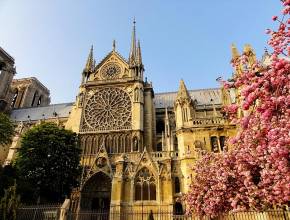 Paris: Notre Dame Kathedrale