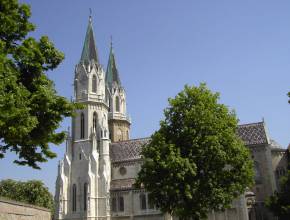 Radurlaub entlang der Donau: Tulln - Pfarrkirche St. Stephan