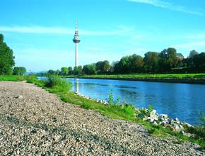 Städtereisen nach Mannheim: Fernsehturm am Neckar
