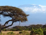 Blick auf Kilimanjaro vom Amboseli Nationalpark