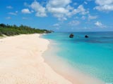 Bermuda: Horseshoe Bay Beach