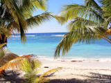 Dominica: Mero Beach