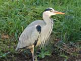 Pretoria Bird Sanctuary