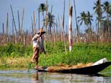 Inle See: Beinruderer