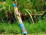 Didgeridoo