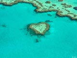Great Barrier Riff: Heart Reef
