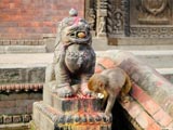 Kathmandu: Pashupatinath