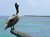 Islas del Rosario