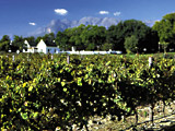 Weinanbaugebiete Südafrikas