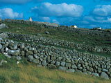 Connemara - Steinmauern