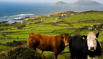 Irland: die grüne Insel