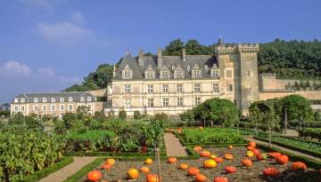 Loire: Schloss Vilandry