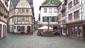 Schnupperreise Rüdesheim