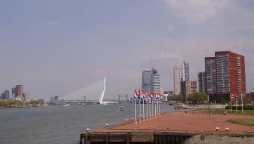 Rotterdam: Erasmusbruk