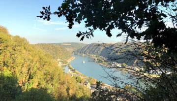 Blick auf das Rheintal