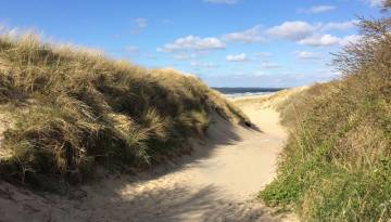 Zeeland: Dünen und Strand