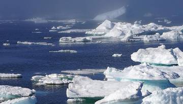 Eisberge in Grönland