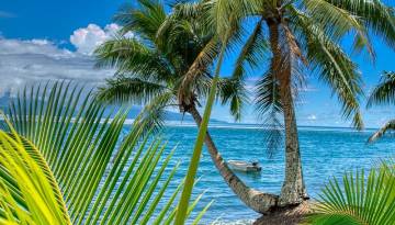 Tahiti am Strand