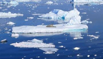 Eisschollen in der Antarktis