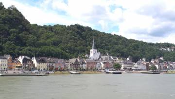 Rheinpanorama