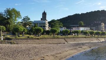 Rhein bei Andernach