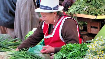 Markt in Ecuador