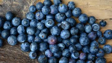 Blaubeeren aus Schweden