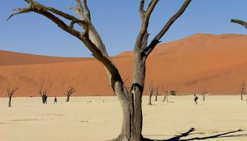 Sossusvlei