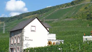 Weinberge entlang der Mosel