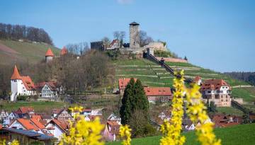 Blick auf Beilstein