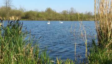 an der Peene