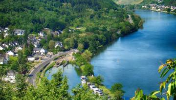 Blick auf die Mosel