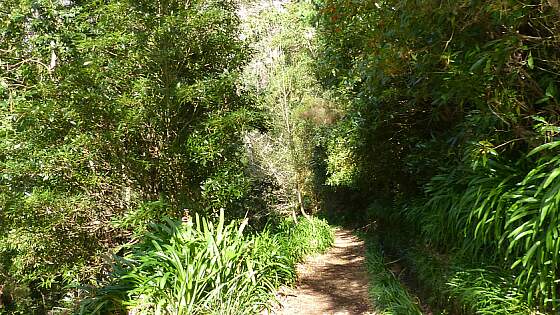 Portugal, Madeira: Levada Wanderweg