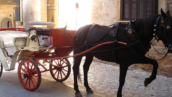 Mallorca, Spanien: Altstadt von Palma mit Kutsche